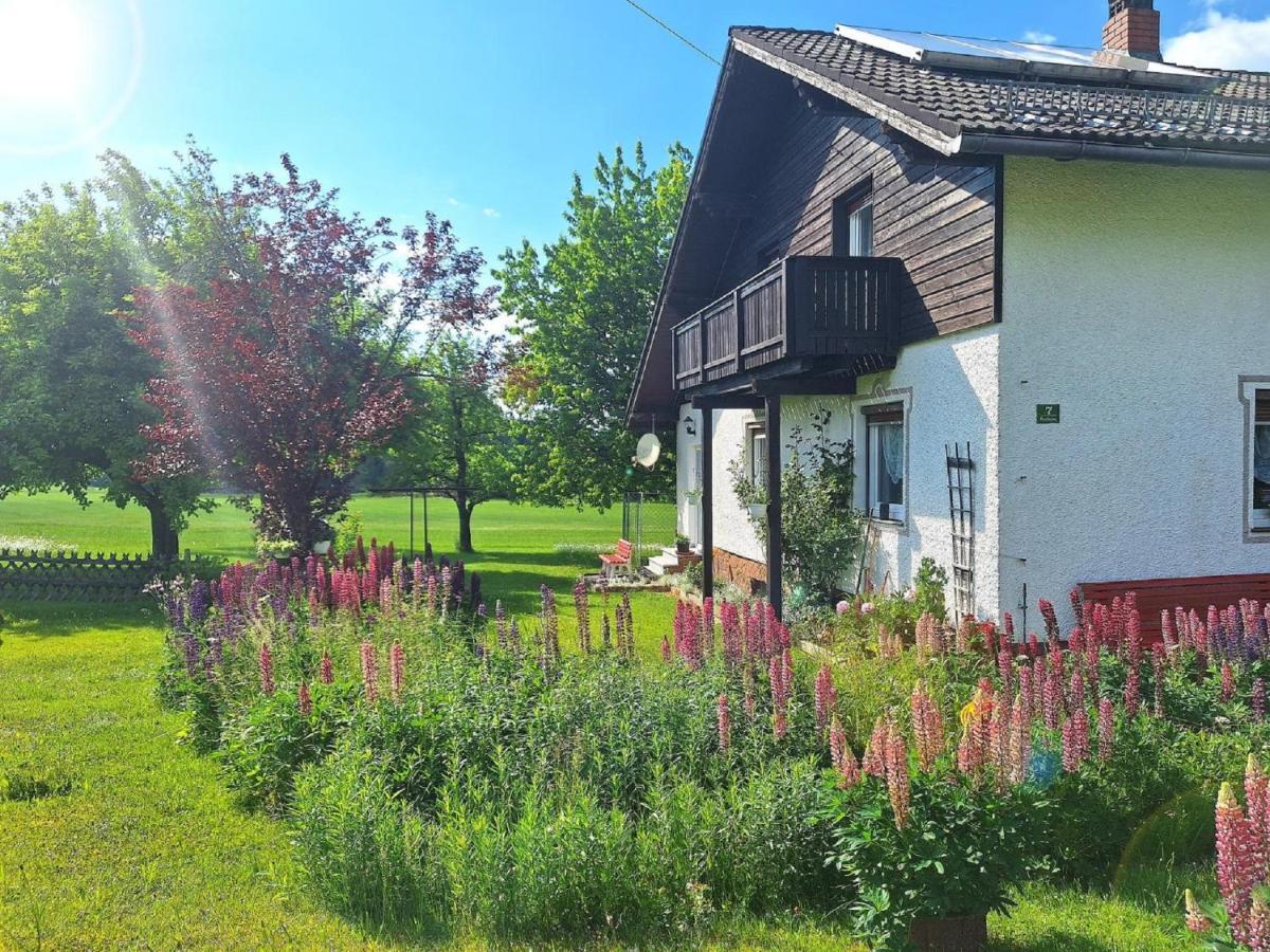 Pension Schneider Frauenau Buitenkant foto