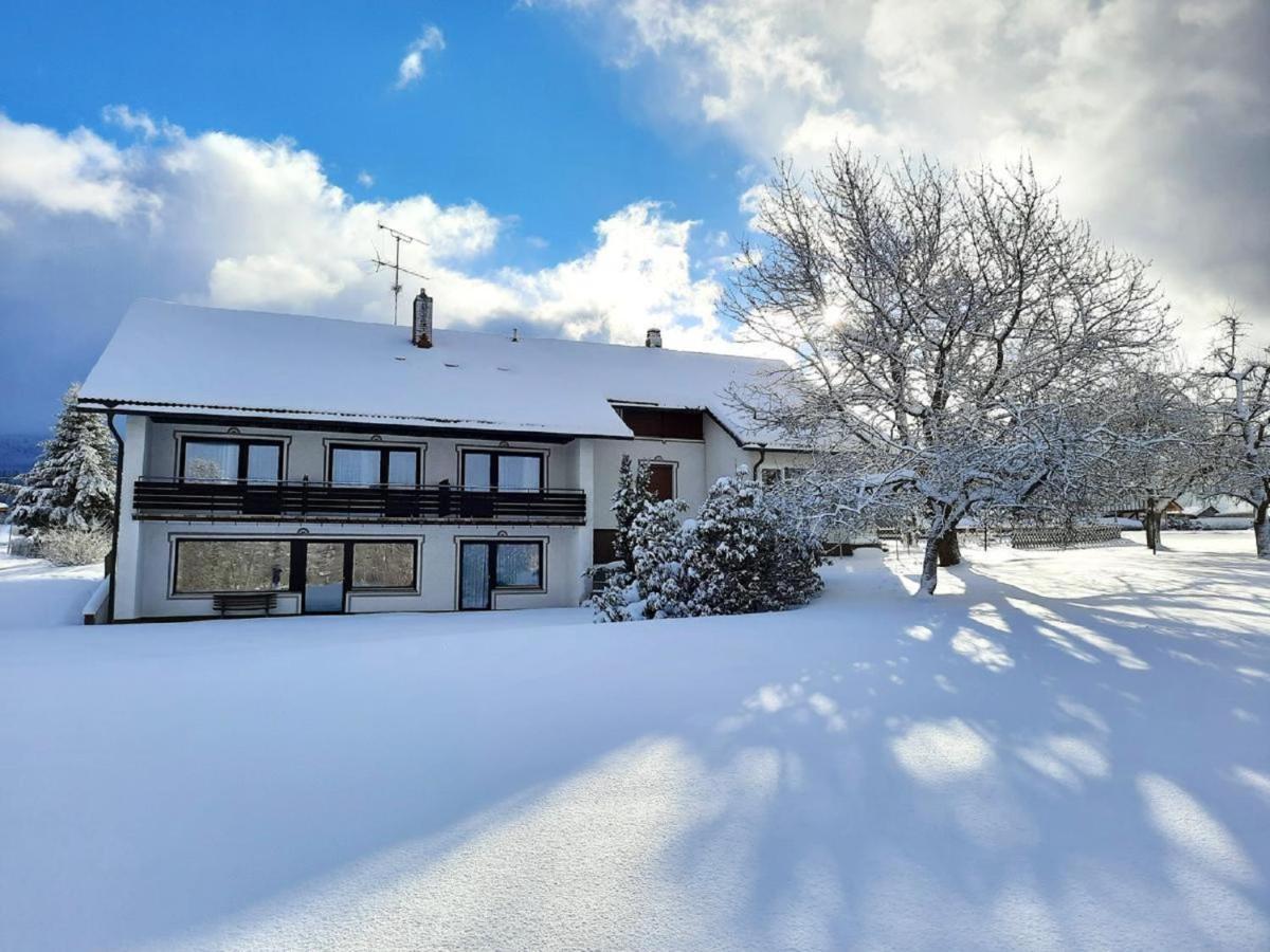 Pension Schneider Frauenau Buitenkant foto